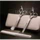 SMITH CHU® Tijeras de Peluquería Profesional 5.5 Pulgadas Kits de Herramientas de Corte de Pelo Tijeras de Acero Inoxidable p